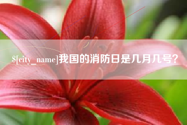 喀什我国的消防日是几月几号？