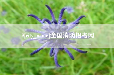 喀什全国消防招考网
