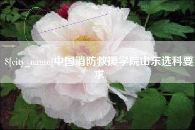喀什中国消防救援学院山东选科要求