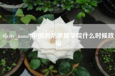 喀什中国消防救援学院什么时候政审