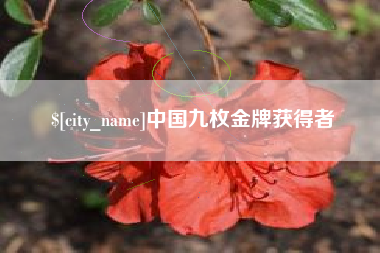 喀什中国九枚金牌获得者