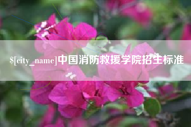 喀什中国消防救援学院招生标准