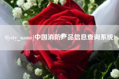 喀什中国消防产品信息查询系统1