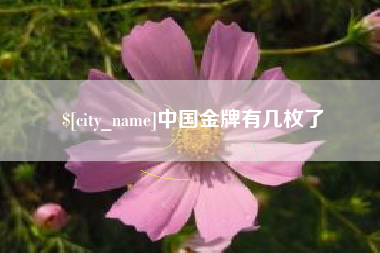 喀什中国金牌有几枚了