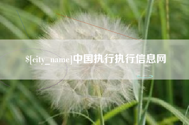 喀什中国执行执行信息网