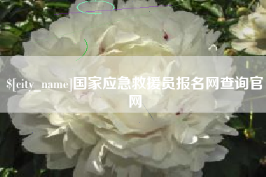 喀什国家应急救援员报名网查询官网