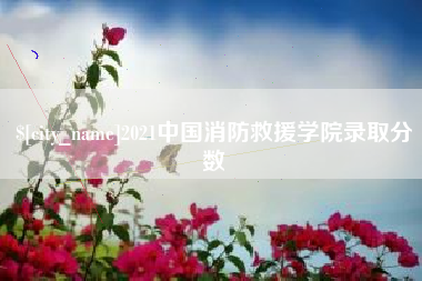 喀什2021中国消防救援学院录取分数