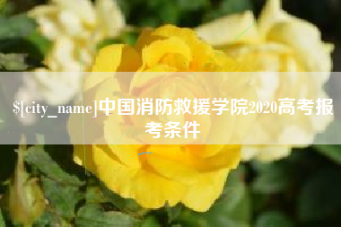 喀什中国消防救援学院2020高考报考条件