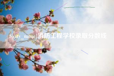 喀什消防工程学校录取分数线