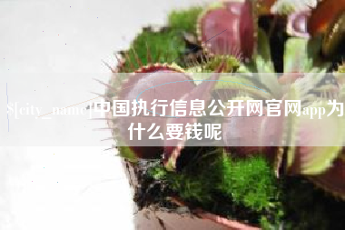 喀什中国执行信息公开网官网app为什么要钱呢