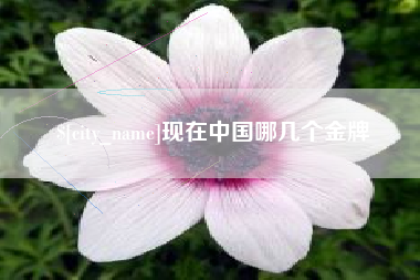 喀什现在中国哪几个金牌