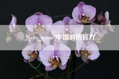 喀什中国消防官方