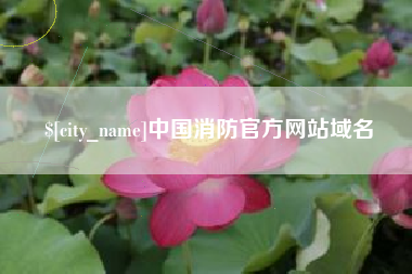 喀什中国消防官方网站域名