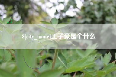 喀什王子豪是个什么