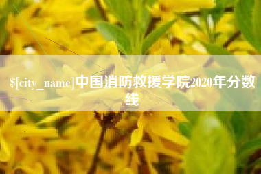 喀什中国消防救援学院2020年分数线