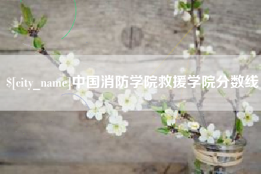 喀什中国消防学院救援学院分数线