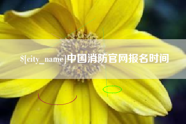 喀什中国消防官网报名时间