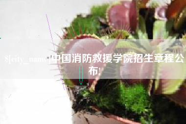 喀什中国消防救援学院招生章程公布!