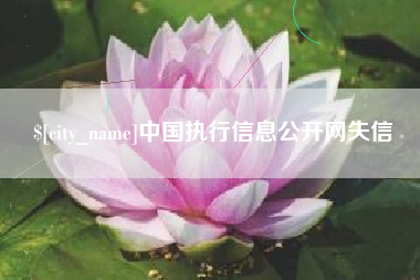 喀什中国执行信息公开网失信