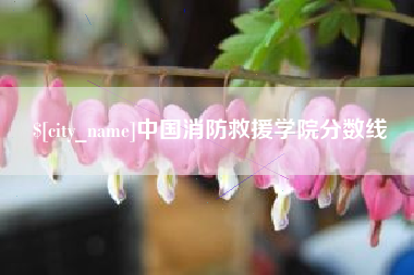 喀什中国消防救援学院分数线