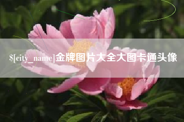喀什金牌图片大全大图卡通头像