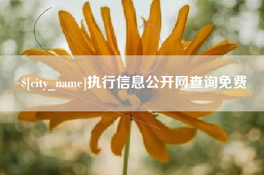 喀什执行信息公开网查询免费