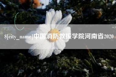喀什中国消防救援学院河南省2020